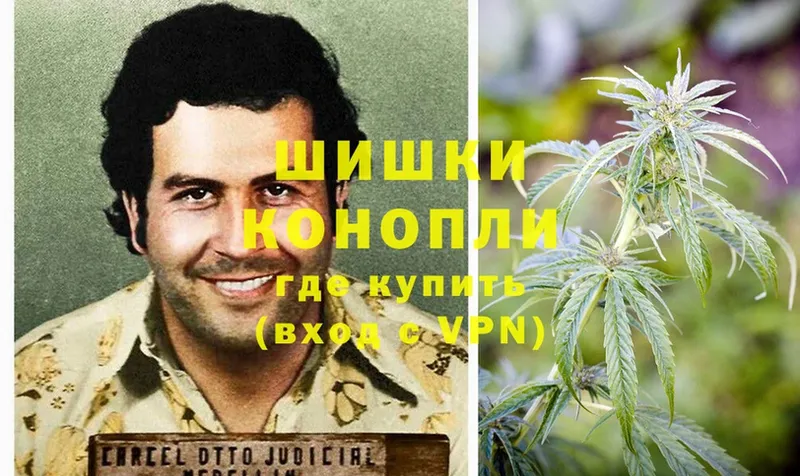 магазин продажи наркотиков  Вуктыл  Бошки марихуана White Widow 